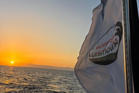 Catamarán privado al atardecer - Gran Canaria1- 15 personas