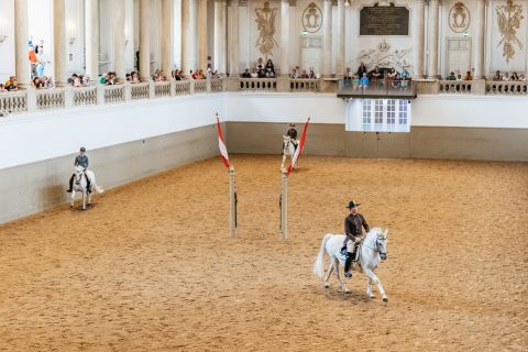Вена: тренировка в Испанской школе верховой езды