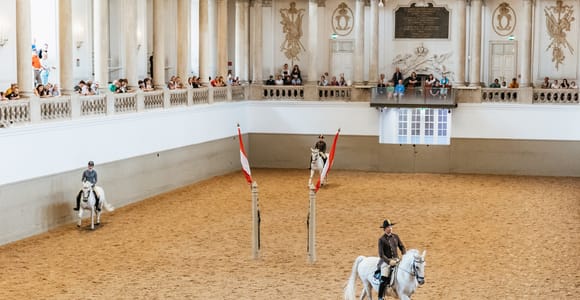Vienna: Spanish Riding School Training