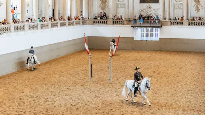 Viena: entrenamiento de la Escuela Española de Equitación