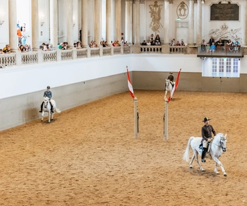 Ausbildung in der Spanischen Hofreitschule