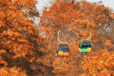 Excursion d&#039;une journée à Balwangsan : sentiers forestiers et vues panoramiques sur les hauts plateauxShinsegae Duty Free (Myeongdong)