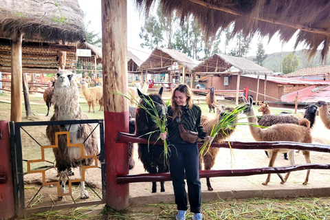 Cusco: Private Inca Ruins & Alpaca Sanctuary Tour