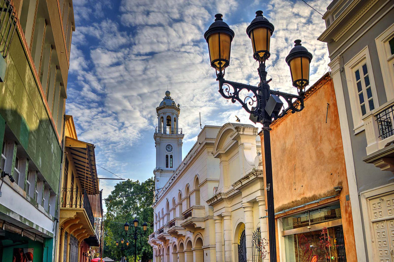 Punta Cana: Santo Domingo Day Trip with Columbus Lighthouse