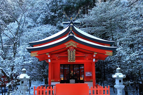 From Tokyo: Mount Fuji & Hakone Customizable Private Tour Itinerary A: Mount Fuji Full Day Customizable Private Tour
