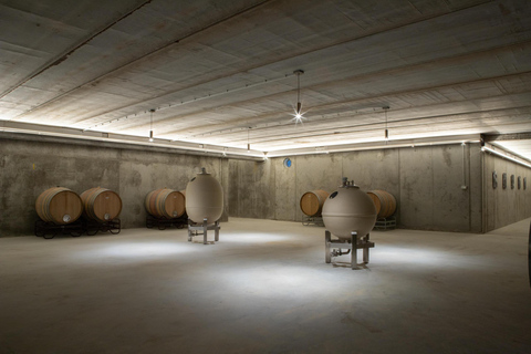 Visit Bodega Boutique Díscolo at 49154 El Pego - Zamora - Spain