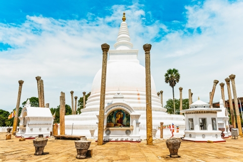 Desde Negombo: Anuradhapura al Parque Nacional Wilpattu 2 días