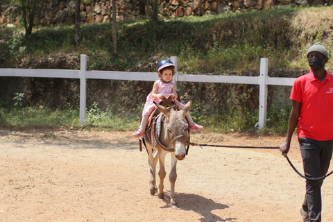 Paseos en burro para niños Experiencia