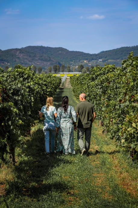 Geführte Olivenöl & Wein Tour von Padua Geführte Olivenöl ...