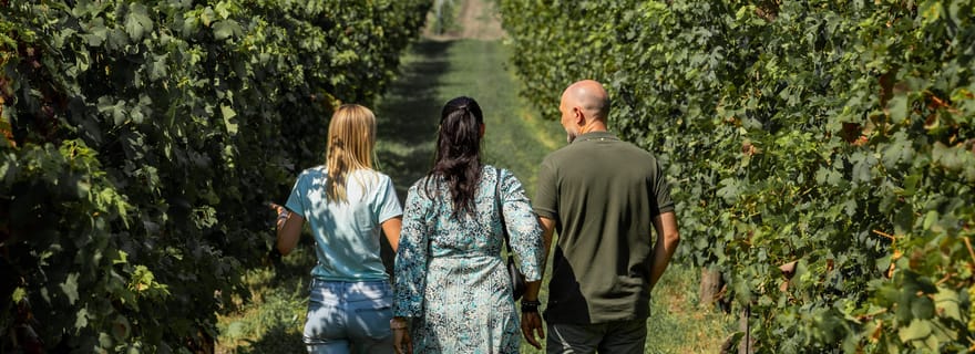 Visite guidée de l'huile d'olive et du vin de Padoue