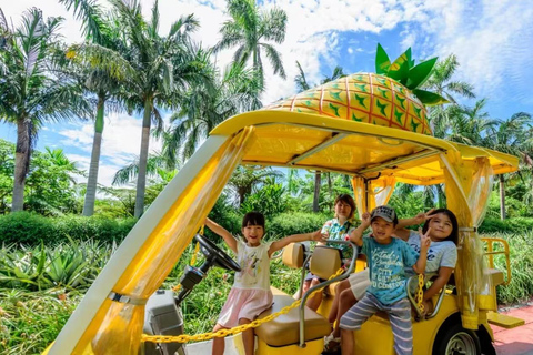 Okinawa: Nago Pineapple Park Ticket & Cart Ride