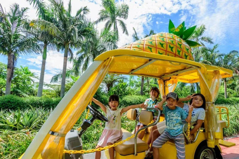 Okinawa: Nago Pineapple Park Ticket & Cart Ride