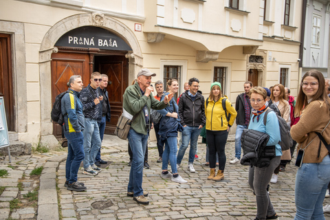 Da Vienna: esplora i sapori di Bratislava in una gita di un giorno