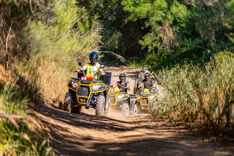 Albufeira: terenowa wycieczka quadem w 90 minutPojedynczy Quad