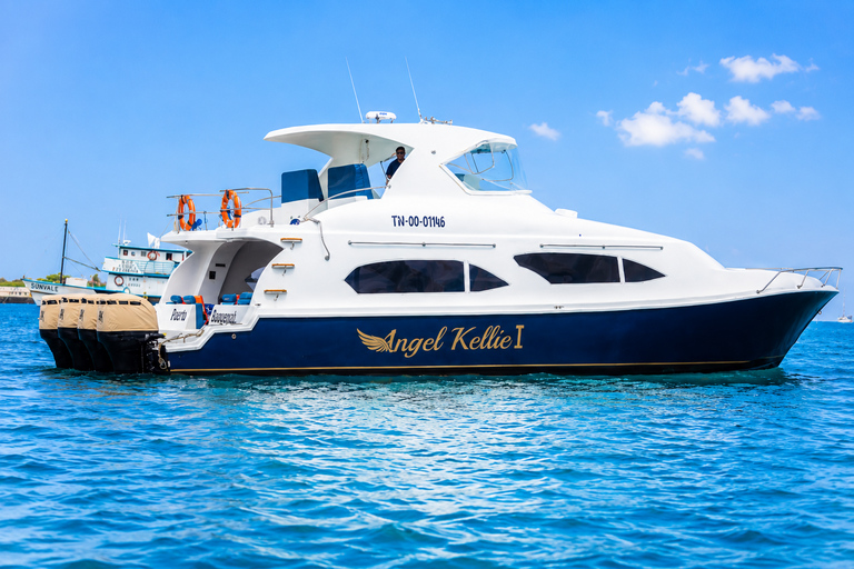 Fast Ferry from San Cristobal to Santa Cruz l with Comfortable Seats Fast Ferry from San Cristobal to Santa Cruz with Comfortable Seats
