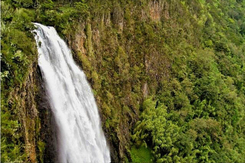 Kakamega Forest: Butterfly Walk with Naturalist Guide