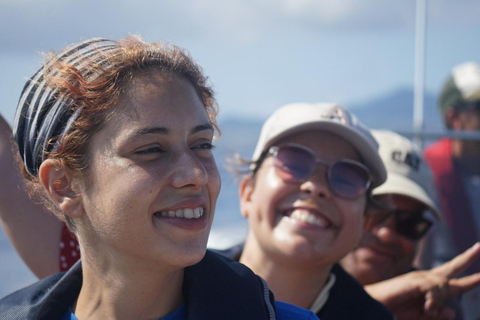 圣米格尔岛：火山奇观、洞穴与历史游船之旅