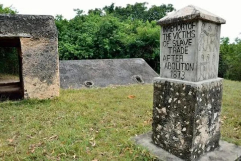 زنجبار: جولة في كهف مانجابواني المرجاني وغرفة الرقيقزنجبار: جولة في كهف مانجابواني المرجاني وغرفة 