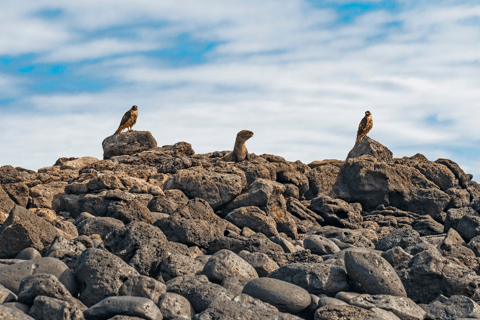 Tour de 9 días al aire libre en Galápagos