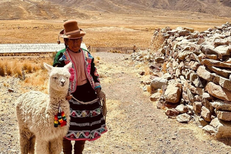 Ruta del sol: Viaje en autobús de Cusco a Puno con paradas