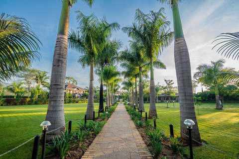 Mombasa: Tsavo East & West Safari and Diani Beach Tour