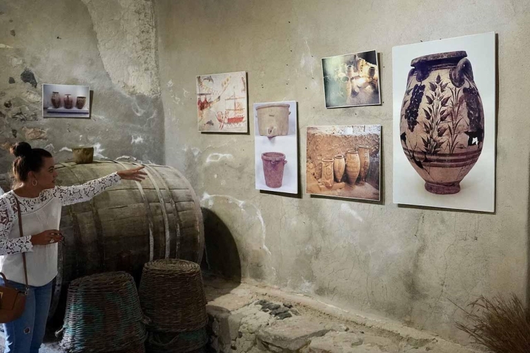 Santorini: recorrido por la historia y las rutas del vinoSantorini: tour en grupo de medio día por la historia y las rutas del vino