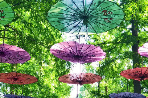 上海至崇明：生态·文化·体验之旅西班牙语、法语或俄语指南