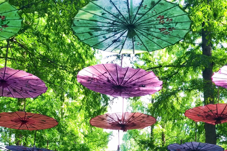 上海至崇明：生态·文化·体验之旅西班牙语、法语或俄语指南