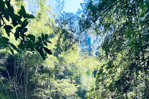 Chiang Mai 2-Day Adventure: Trekking, Tubing & Waterfalls 1-Night Jungle Stay - Trek, Tubing & Waterfall