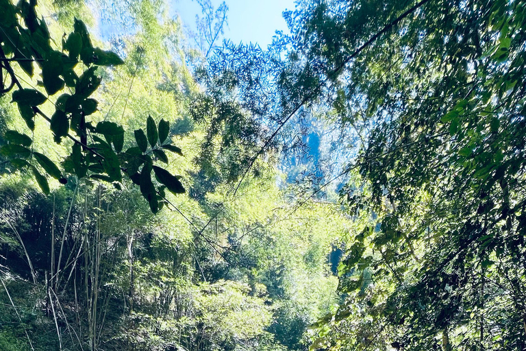 Chiang Mai 2-Day Adventure: Trekking, Tubing & Waterfalls 1-Night Jungle Stay - Trek, Tubing & Waterfall