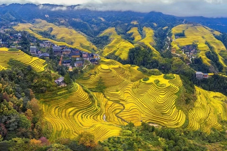 Guangxi: Longji Rice Terraces Cable Car Sightseeing Business Vehicle Small Group + Round-trip Ropeway