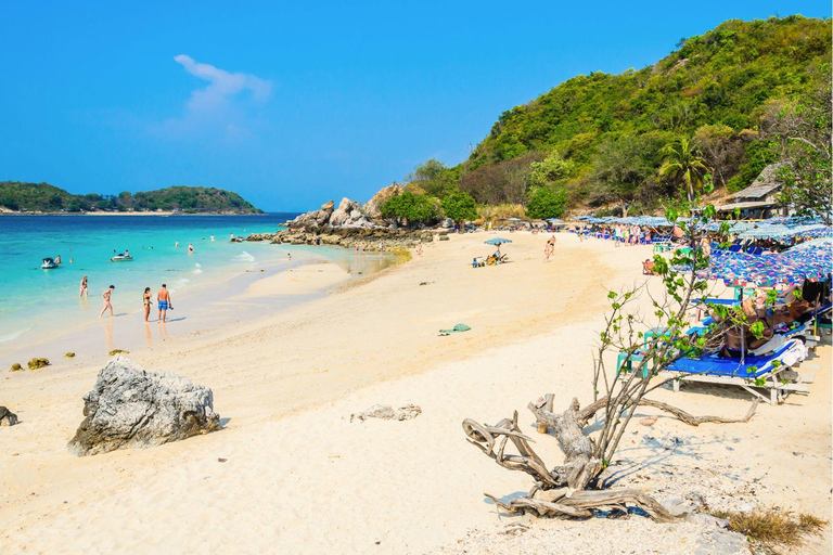 Pattaya : Excursion de luxe en hors-bord sur l&#039;île de Corail avec déjeuner