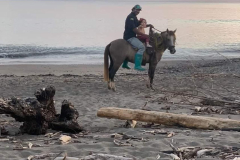 Playa Venao: Horseback Riding Tour