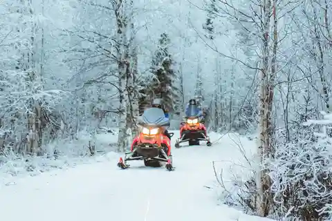 Rovaniemi: Early Winter 2 Hour Snowmobile Safari