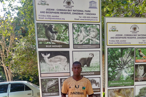 Jozani Forest & Butterfly center with mtende beach