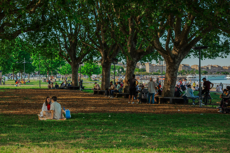 Welcome to Bordeaux: A Journey Through Time and Daily Life