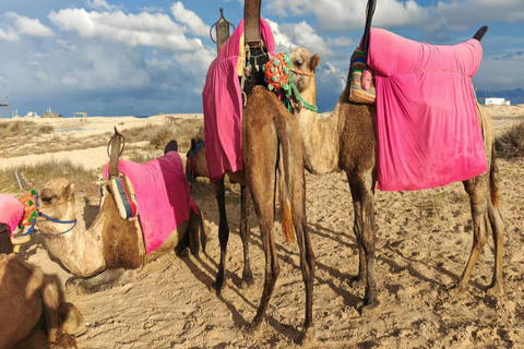 Djerba: Discover the Lagoon and the Countryside by Camel, Horse, or Carriage
