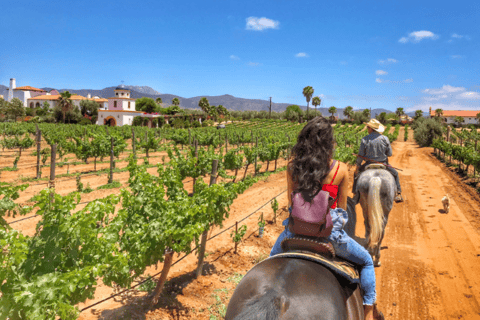 Ensenada: Ridning på vingårdarna