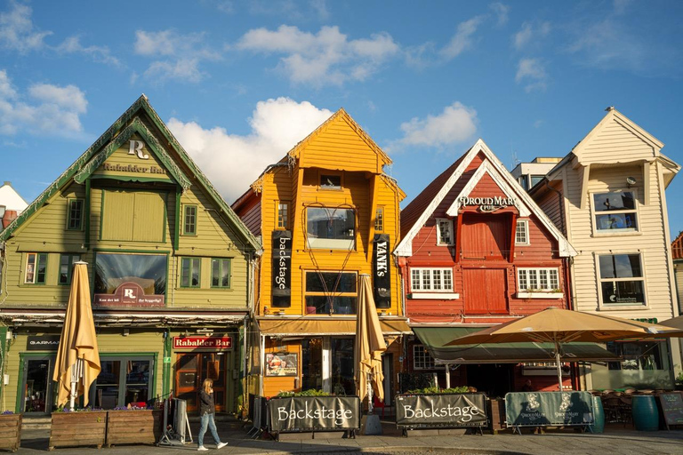 Private Stavanger city Highlights Driving tour