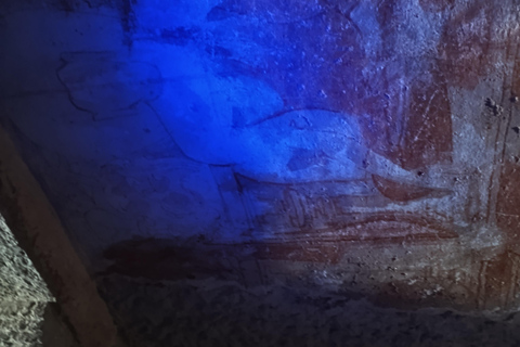 Mumbai: Kanheri Caves Guided Tour Kanheri Caves+Temple+Village+Tiger safri ( pickup & drop)