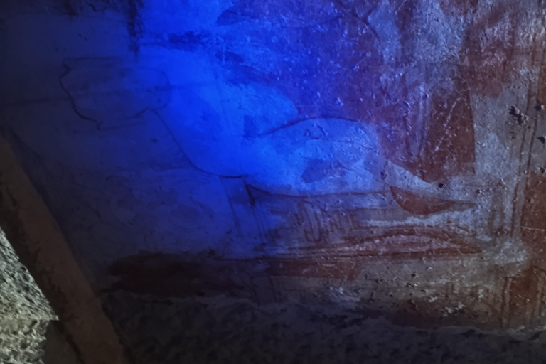 Mumbai: Kanheri Caves Guided Tour Kanheri Caves+Temple+Village+Tiger safri ( pickup & drop)