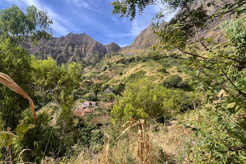 Rui Vaz Scenic Hike and Botanical Garden Stop