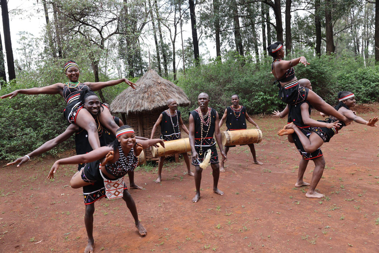 Tour culturale di un giorno a Bomas of Kenya Nairobi