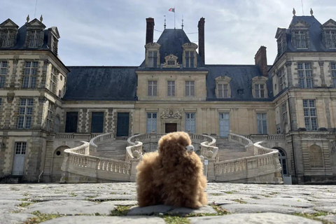 Château de Fontainebleau Half-Day Tour