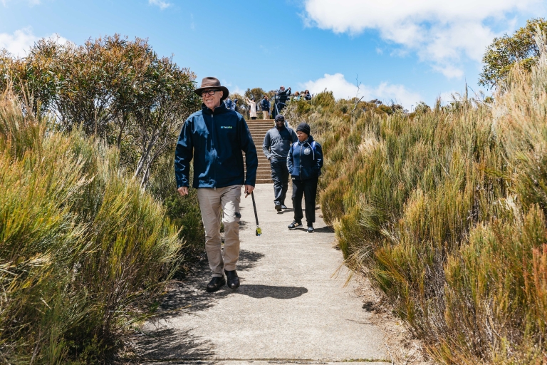 De Sydney: excursion d'une journée dans les Blue Mountains avec croisièreMontagnes bleues : excursion avec attractions Scenic World