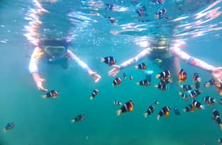 Hongkong Sai Kung NEMO Clownfisch-Schnorcheltour