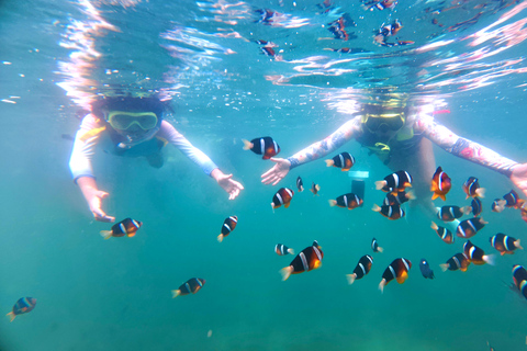 Hong Kong Sai Kung NEMO Clownfish Snorkeling Tour 【Join-in】 Hong Kong: Sai Kung Coral Area Snorkeling Tour