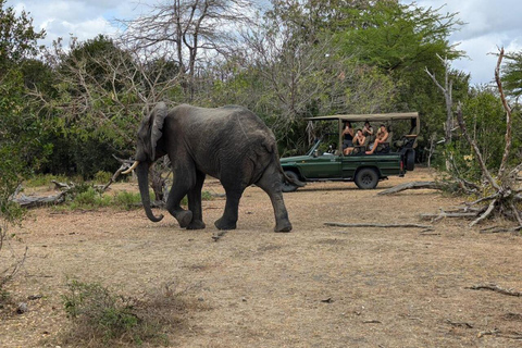 From Zanzibar: 2-Day Mikumi National Park Safari with Train