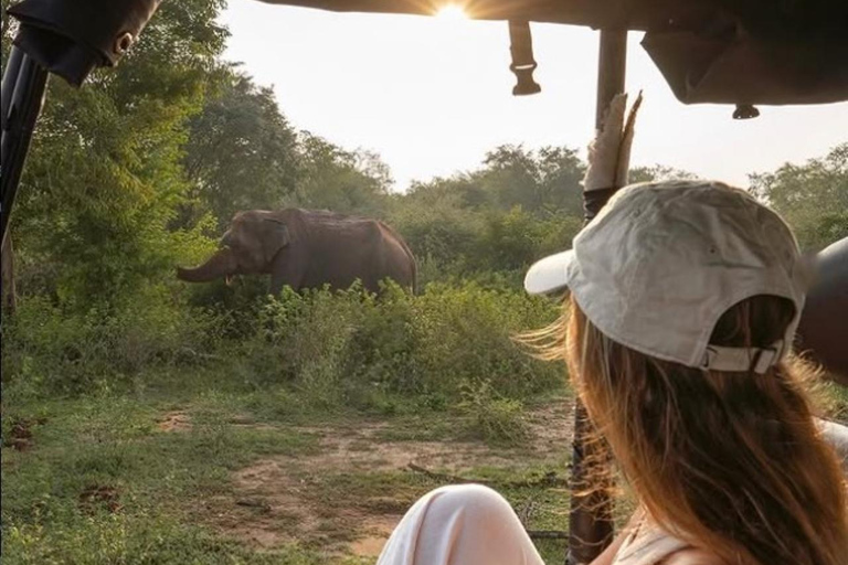 Ella: Udawalawa safaridrop: Tangalle / Mirissa / Galle
