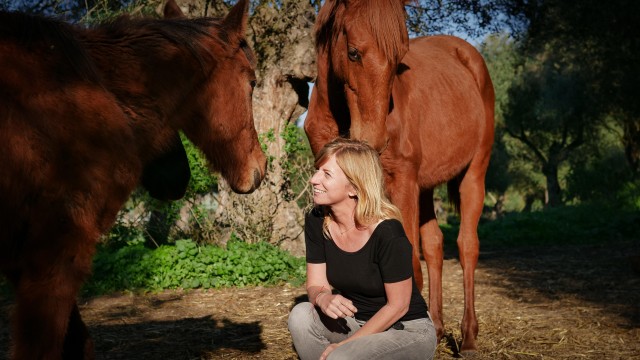 Visit Relax & Mindfulness with Horses in Vejer de la Frontera in Barbate